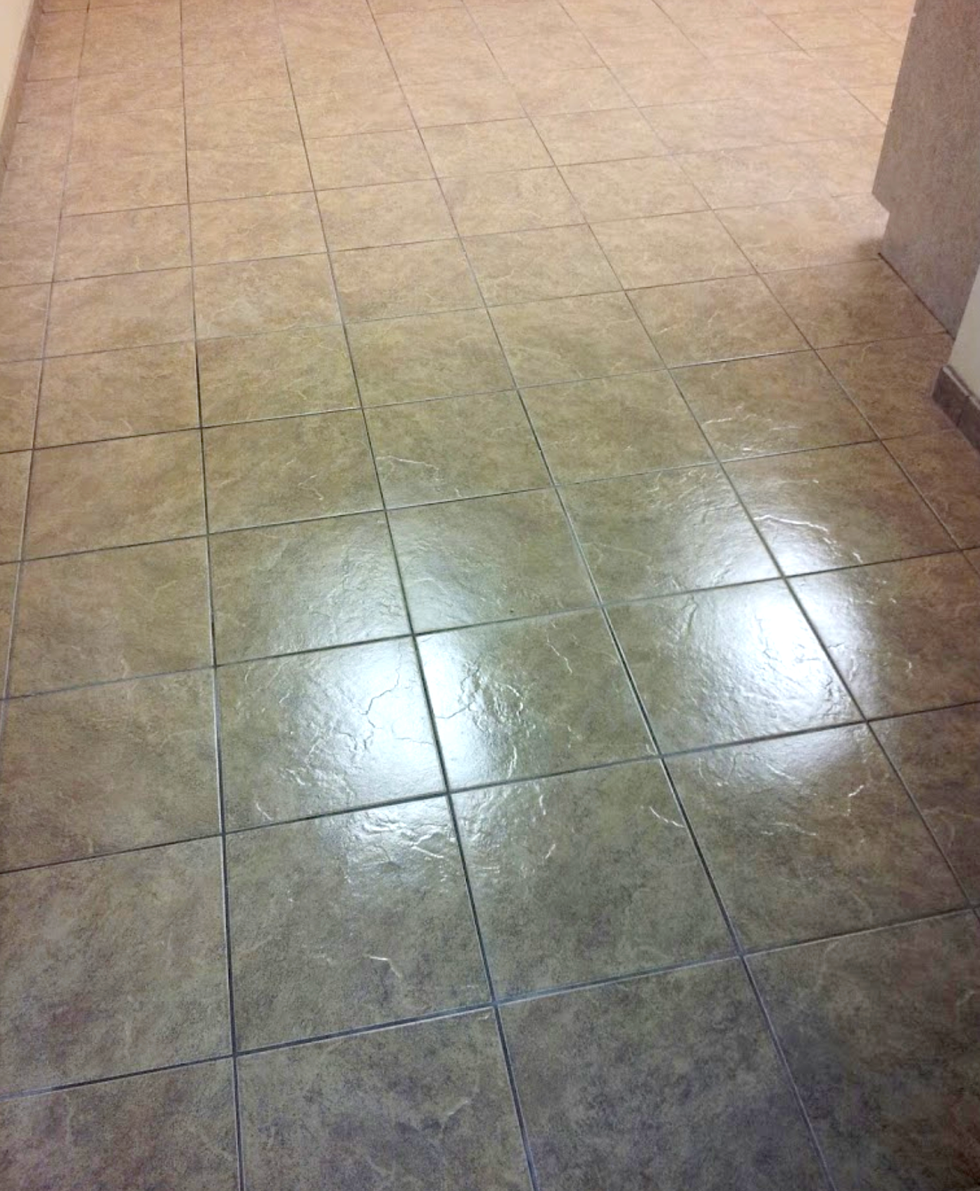 Tile and Grout Shinging!